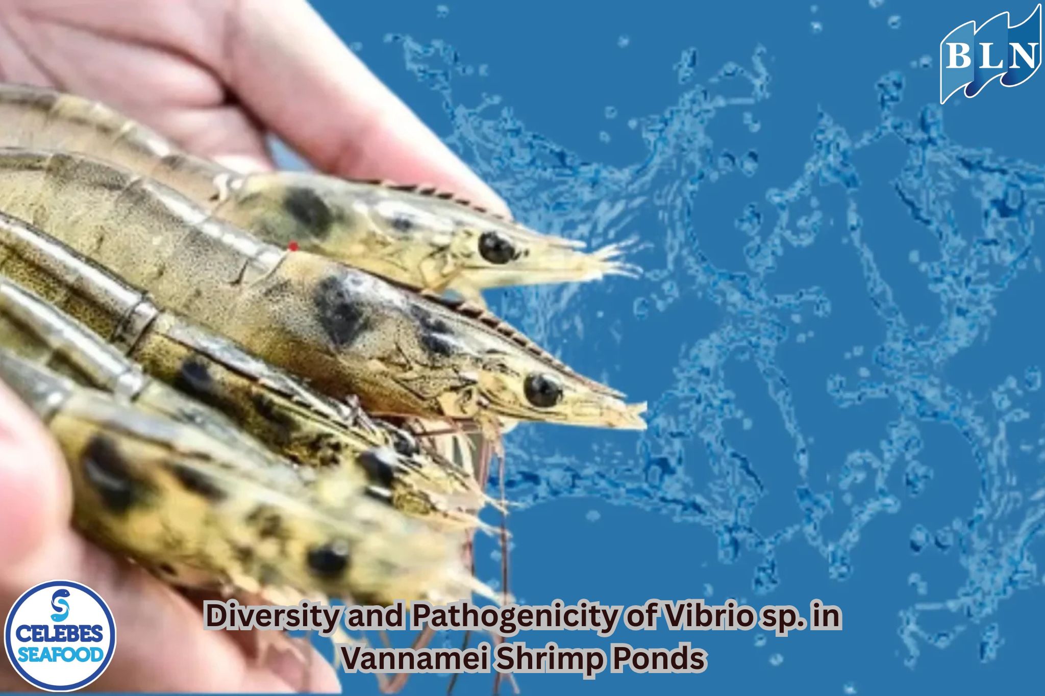 Diversity and Pathogenicity of Vibrio sp. in Vannamei Shrimp Ponds